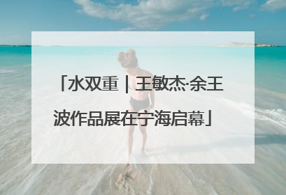 水双重｜王敏杰·余王波作品展在宁海启幕