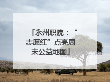 永州职院：“志愿红”点亮周末公益地图