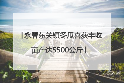 永春东关镇冬瓜喜获丰收 亩产达5500公斤