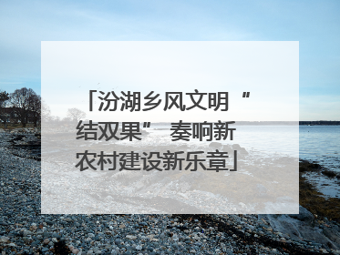 汾湖乡风文明“结双果” 奏响新农村建设新乐章
