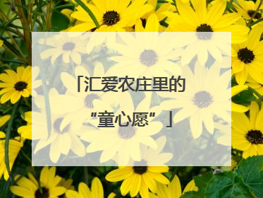 汇爱农庄里的“童心愿”