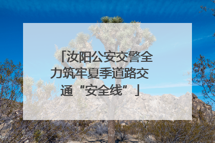 汝阳公安交警全力筑牢夏季道路交通“安全线”