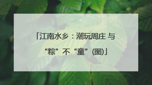 江南水乡：潮玩周庄 与“粽”不“童”(图)