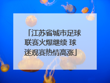 江苏省城市足球联赛火爆继续 球迷观赛热情高涨