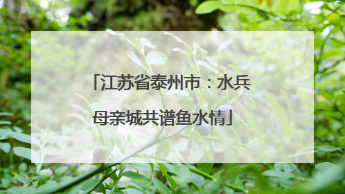 江苏省泰州市：水兵母亲城共谱鱼水情