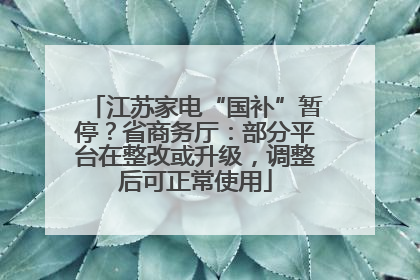 江苏家电“国补”暂停？省商务厅：部分平台在整改或升级，调整后可正常使用