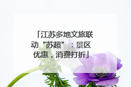 江苏多地文旅联动“苏超”：景区优惠，消费打折