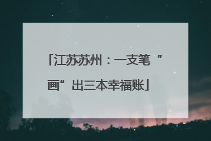江苏苏州：一支笔“画”出三本幸福账