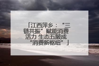 江西萍乡：“三链共振”赋能消费活力 生态五陂成“消费新枢纽”