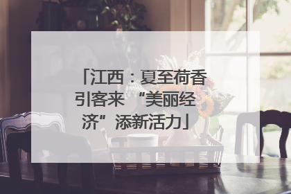 江西：夏至荷香引客来 “美丽经济”添新活力