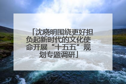 沈晓明围绕更好担负起新时代的文化使命开展“十五五”规划专题调研