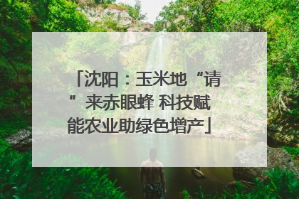 沈阳：玉米地“请”来赤眼蜂 科技赋能农业助绿色增产
