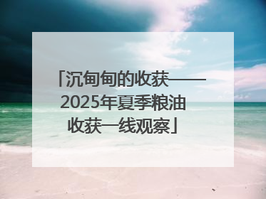 沉甸甸的收获——2025年夏季粮油收获一线观察