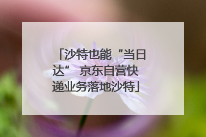 沙特也能“当日达” 京东自营快递业务落地沙特