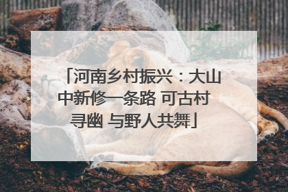 河南乡村振兴：大山中新修一条路 可古村寻幽 与野人共舞