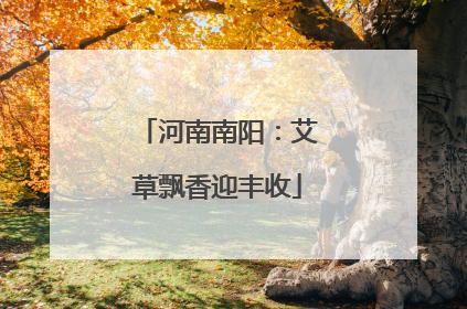河南南阳：艾草飘香迎丰收
