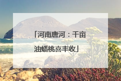 河南唐河：千亩油蟠桃喜丰收