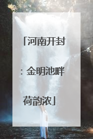 河南开封：金明池畔荷韵浓
