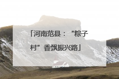 河南范县：“粽子村”香飘振兴路