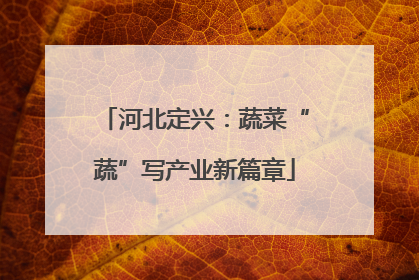 河北定兴：蔬菜“蔬”写产业新篇章