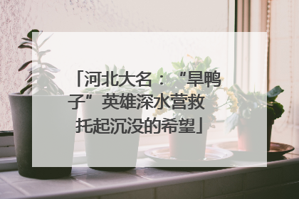 河北大名：“旱鸭子”英雄深水营救 托起沉没的希望