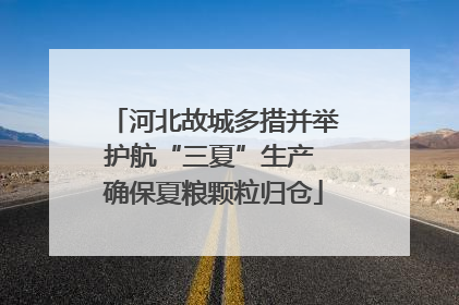 河北故城多措并举护航“三夏”生产 确保夏粮颗粒归仓
