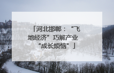 河北邯郸：“飞地经济”巧解产业“成长烦恼”