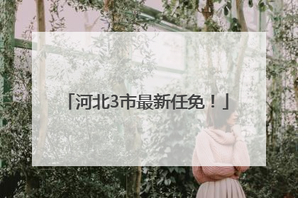 河北3市最新任免！