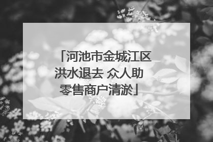 河池市金城江区洪水退去 众人助零售商户清淤
