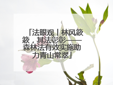 法眼观丨林风簌簌，其法彰彰——森林法有效实施助力青山常翠