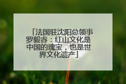 法国驻沈阳总领事罗毅睿：红山文化是中国的瑰宝，也是世界文化遗产