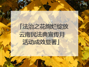 法治之花绚烂绽放 云南民法典宣传月活动成效显著