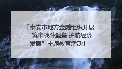 泰安市地方金融组织开展“筑牢战斗堡垒 护航经济发展”主题教育活动