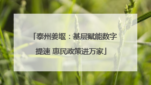 泰州姜堰：基层赋能数字提速 惠民政策进万家