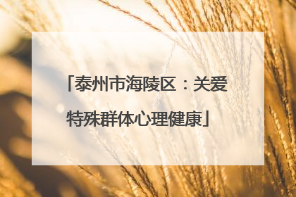 泰州市海陵区：关爱特殊群体心理健康