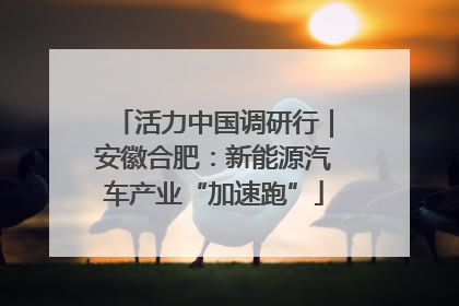 活力中国调研行｜安徽合肥：新能源汽车产业“加速跑”