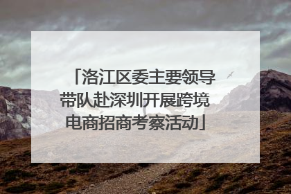 洛江区委主要领导带队赴深圳开展跨境电商招商考察活动