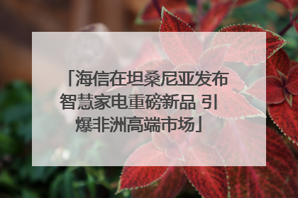 海信在坦桑尼亚发布智慧家电重磅新品 引爆非洲高端市场