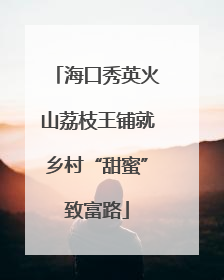 海口秀英火山荔枝王铺就乡村“甜蜜”致富路