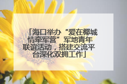 海口举办“爱在椰城 情牵军营”军地青年联谊活动，搭建交流平台深化双拥工作