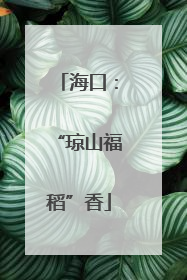 海口：“琼山福稻”香