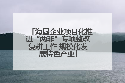海垦企业项目化推进“两非”专项整改复耕工作 规模化发展特色产业