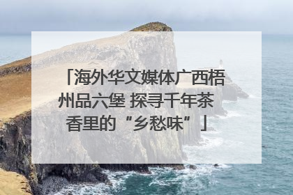 海外华文媒体广西梧州品六堡 探寻千年茶香里的“乡愁味”