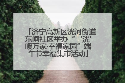 济宁高新区洸河街道东闸社区举办“‘洸’暖万家·幸福家园”端午节幸福集市活动