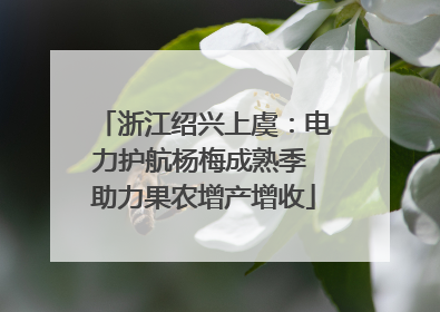 浙江绍兴上虞：电力护航杨梅成熟季 助力果农增产增收