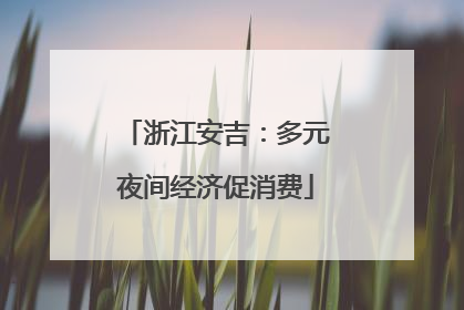 浙江安吉：多元夜间经济促消费