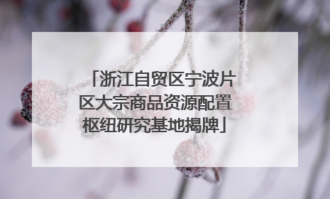 浙江自贸区宁波片区大宗商品资源配置枢纽研究基地揭牌