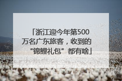 浙江迎今年第500万名广东旅客，收到的“锦鲤礼包”都有啥