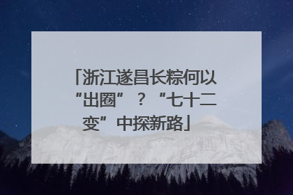 浙江遂昌长粽何以“出圈”？“七十二变”中探新路