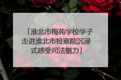淮北市梅苑学校学子走进淮北市检察院沉浸式感受司法魅力